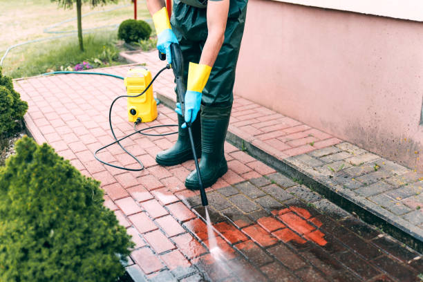 Best Soft Washing for Delicate Surfaces in Niagara, WI