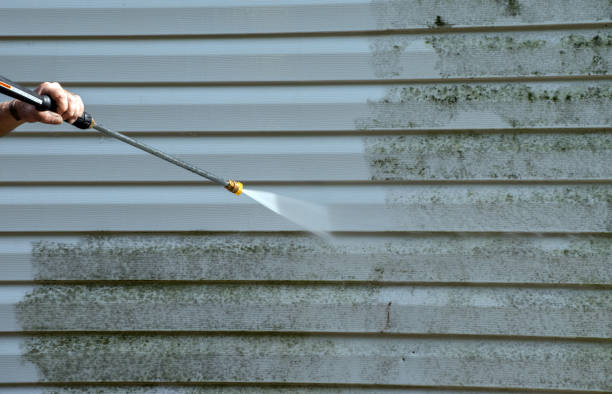 Best Deck and Patio Pressure Washing in Niagara, WI