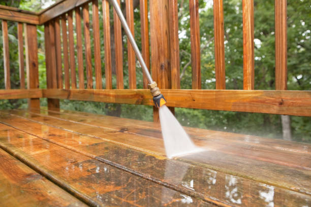 Best Fence Cleaning and Maintenance in Niagara, WI